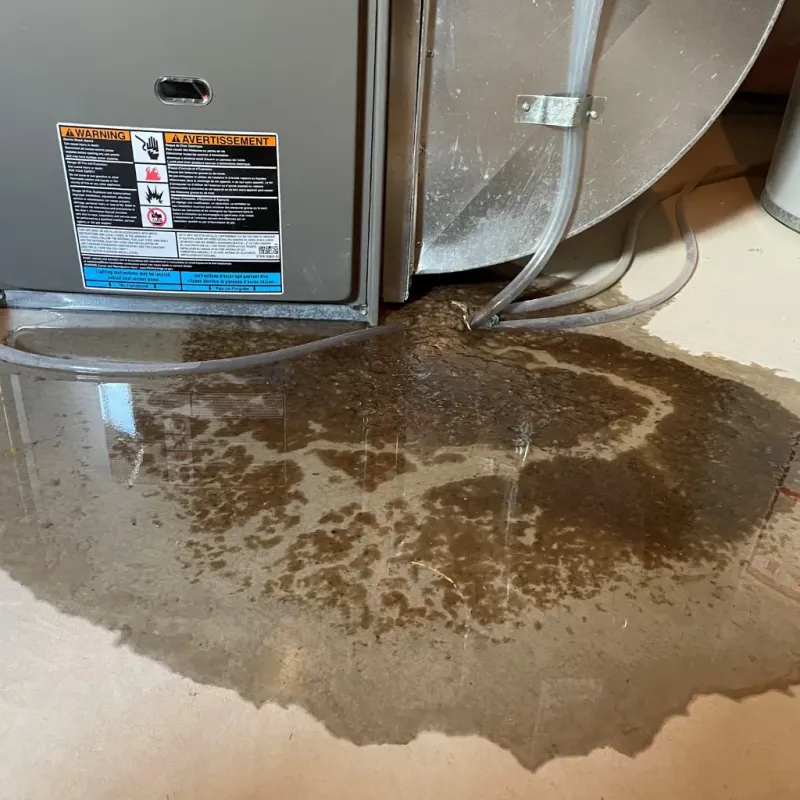 Appliance Leak Cleanup in Stilwell, OK